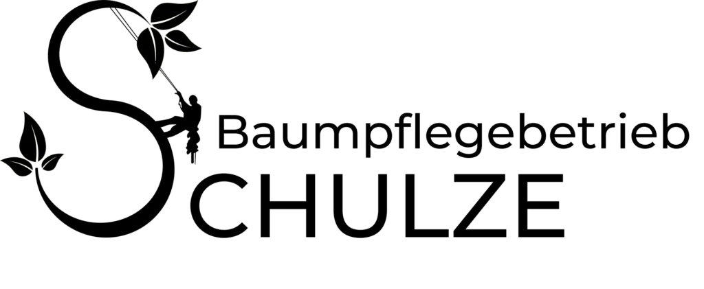 Logo vom Baumpflegebetrieb Schulze mit einem stilisierten S mit Blättern und einem Kletterer.